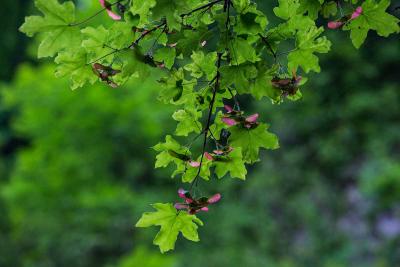 Прикрепленное изображение: IMG_0428.jpg